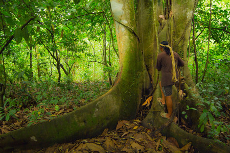 Maleku Indigenous Reserve  photo 3