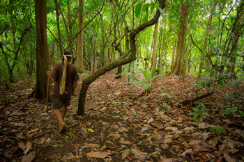 Maleku Indigenous Reserve  photo 4