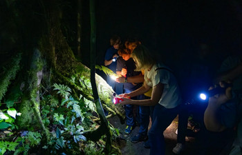 Mistico Hanging Bridges Regular Twilight Tour photo 3