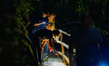 Mistico Hanging Bridges Regular Twilight Tour photo 4