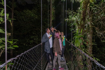 Mistico Hanging Bridges Regular Twilight Tour photo 2