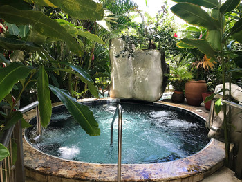 Paradise Hot Springs Day Pass photo 5