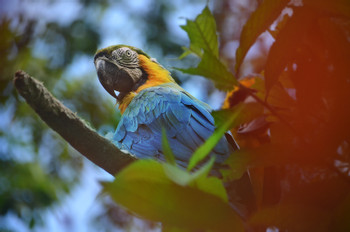 Project Asis - Wildlife Tour (HDT)  photo 4