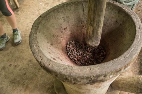 Rainforest Chocolate Tour Costa Rica