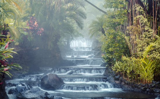 Tabacon Hot Springs Photo