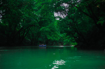 Twilight Safari Float at Penas Blancas River photo 4