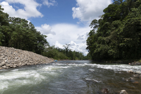 Whitewater Rafting Class II - III at Sarapiqui River photo 2