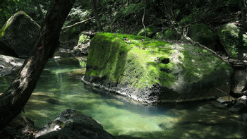 Río Perdido photo 3