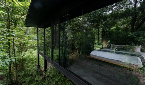 Río Perdido Costa Rica