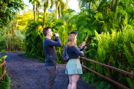 Maquenque Birdwatching Tour