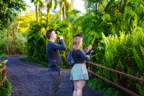 Maquenque Birdwatching Tour