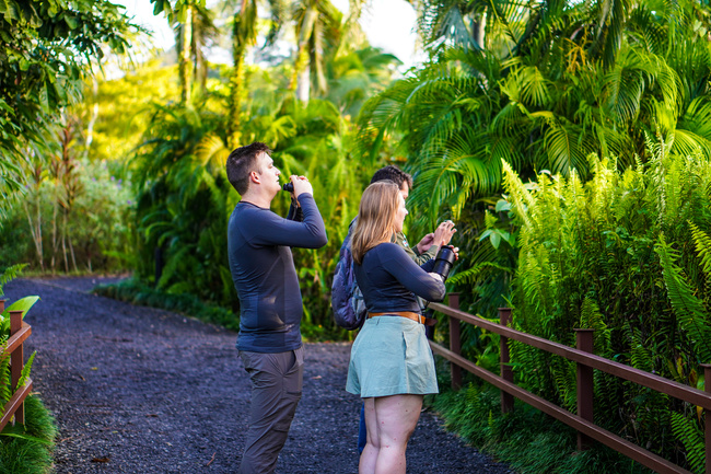 Maquenque Birdwatching Tour Photo