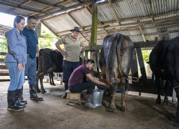 Maquenque Chocolate, Coffee and Organic Farm