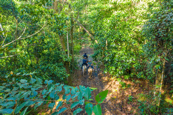 Maquenque Horseback Riding