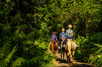 Maquenque Horseback Riding