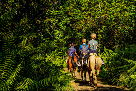 Maquenque Horseback Riding