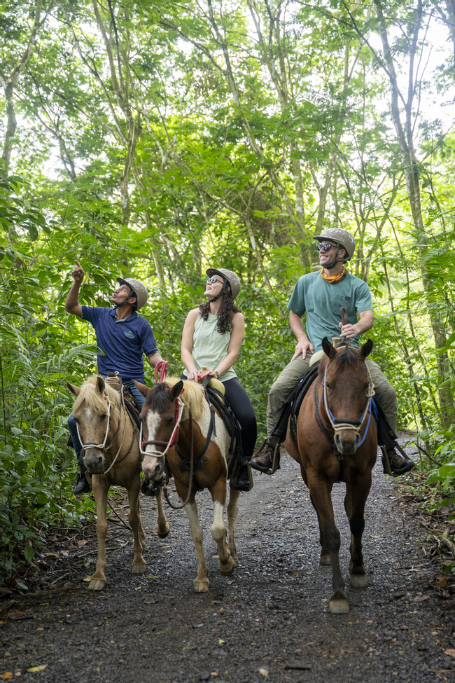 Maquenque Horseback Riding Photo