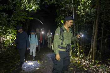Maquenque Night Walk