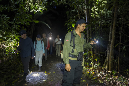 Maquenque Night Walk