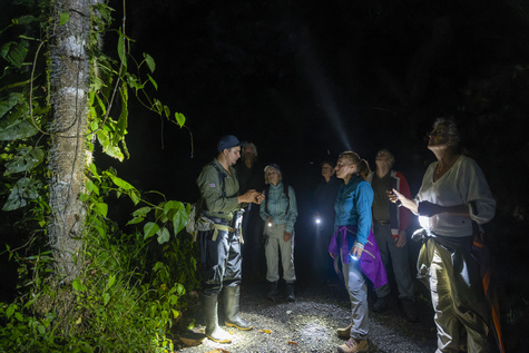 Maquenque Night Walk