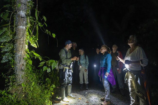 Maquenque Night Walk Photo