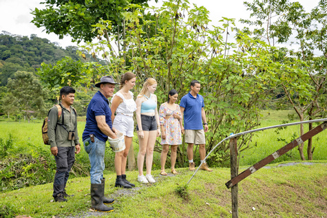 Maquenque Rainforest Hiking Tour