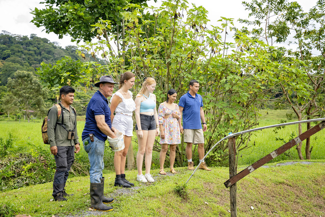 Maquenque Rainforest Hiking Tour Photo