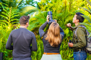 Maquenque Rainforest Hiking Tour