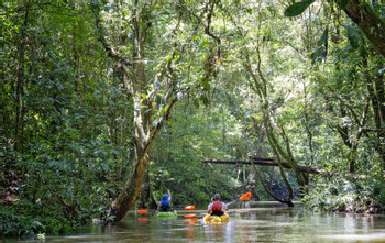 Maquenque Safari Float by Kayak