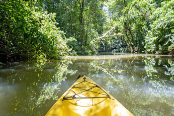 Maquenque Safari Float by Kayak
