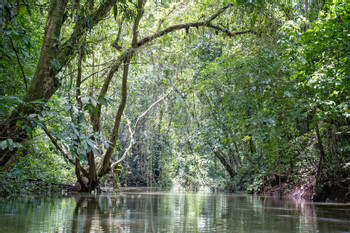 Maquenque Safari Float by Raft