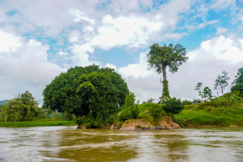 Maquenque San Carlos River Boat Tour