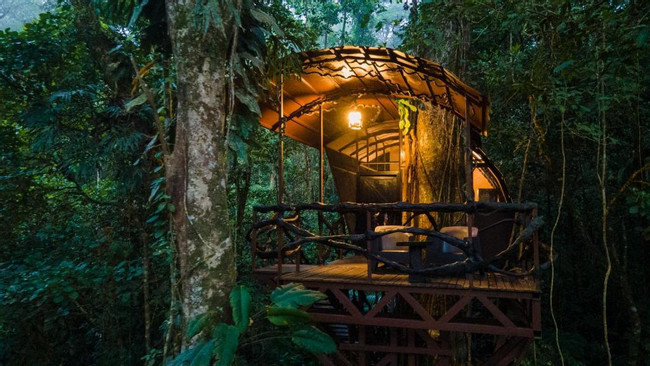 Maquenque Lodge & Tree Houses photo