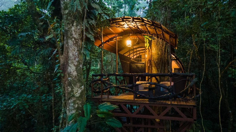 Maquenque Lodge & Tree Houses photo