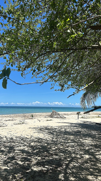 Cahuita National Park Hike photo 4
