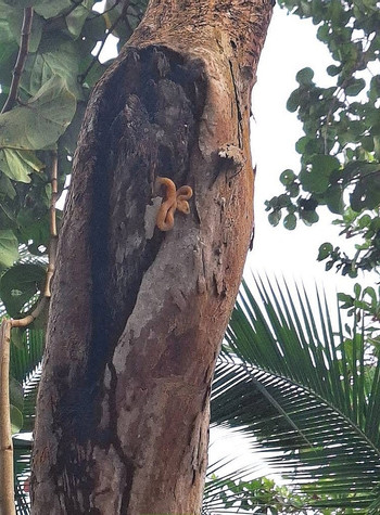 Cahuita National Park Hike photo 2