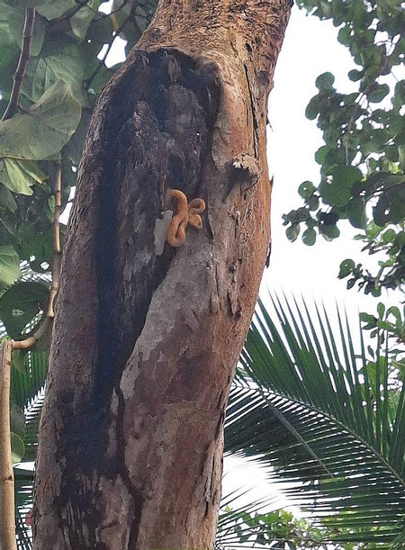 Cahuita National Park Hike photo 2