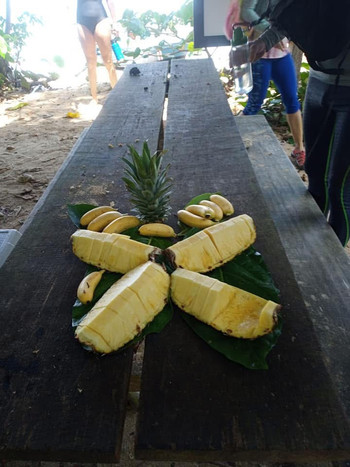 Snorkel and Cahuita Hike photo 5
