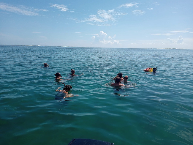 Snorkel and Cahuita Hike Photo