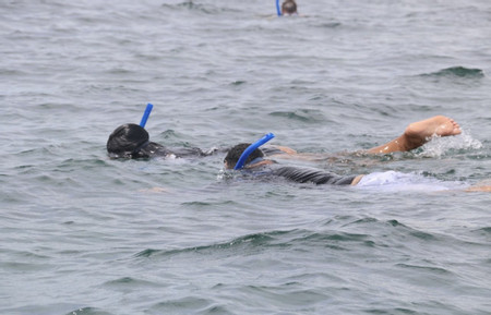 Snorkel and Cahuita Hike photo 3