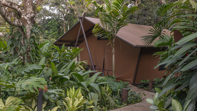 Hotel Tocu Tent Camp Full Experience Photo
