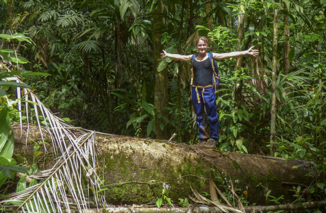 Caminata de alta intensidad en la selva Corcovado 3 días 2 noches photo