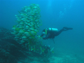 Cano Island Scuba Diving photo 2