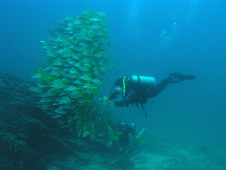 Cano Island Scuba Diving photo 2