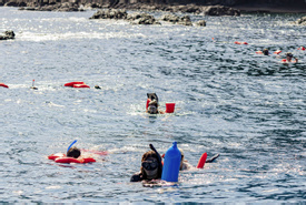 Cano Island Snorkeling Tour