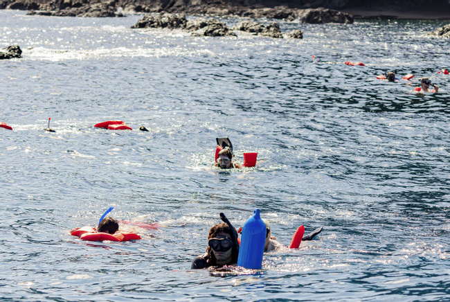 Cano Island Snorkeling Tour Photo