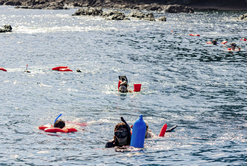 Cano Island Snorkeling Tour photo