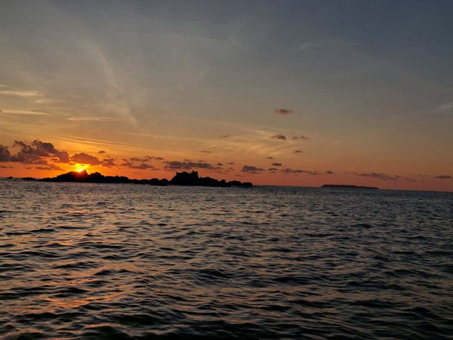 Drake Bay Bioluminescent Tour photo