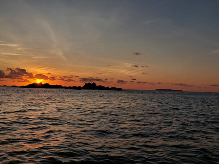 Drake Bay Bioluminescent Tour