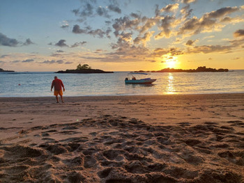 Drake Bay Bioluminescent Tour photo 3